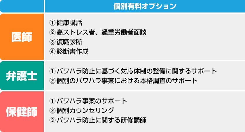 個別有料オプション例